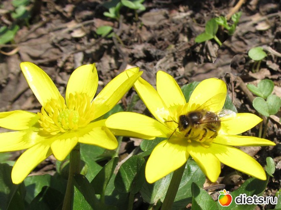 120 ����: �����-����-����� 2013 - 2015