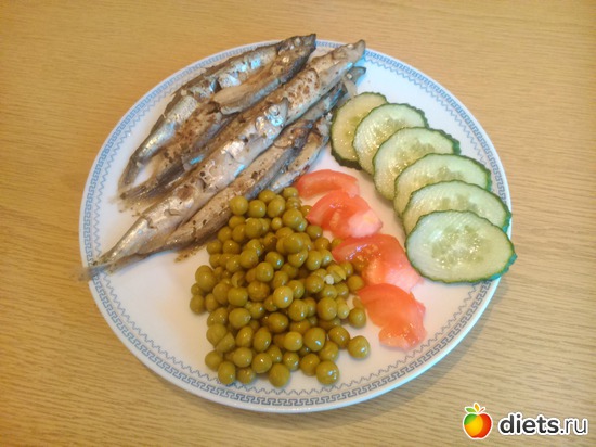 24 ����� - ����, ������: ������ ����������