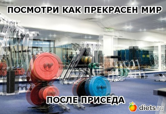11 ����: ����-���������