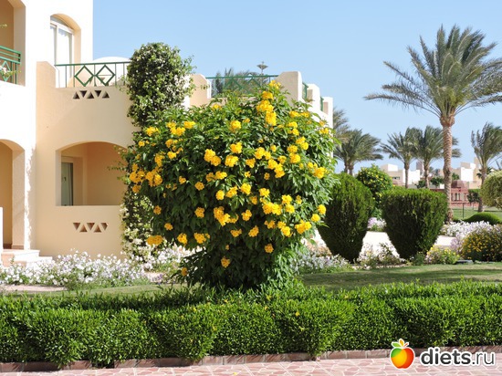 168 ����: ������� 17-24.03.2015