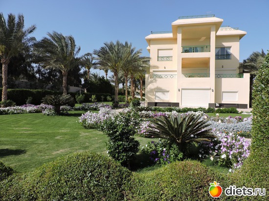 171 ����: ������� 17-24.03.2015