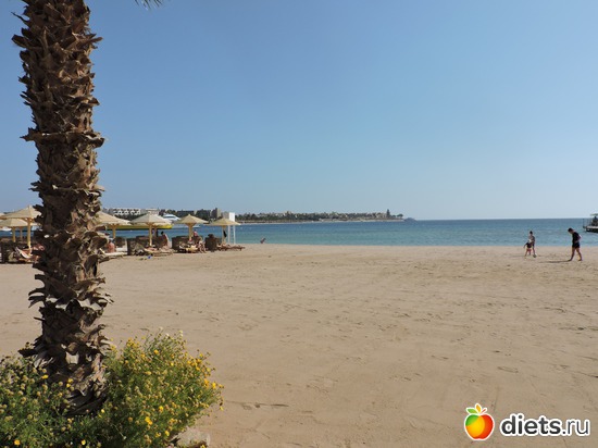 172 ����: ������� 17-24.03.2015