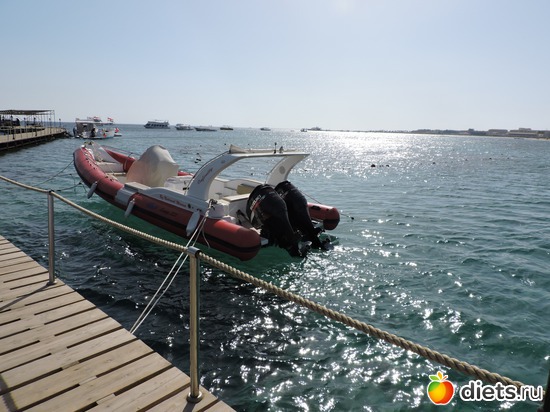 176 ����: ������� 17-24.03.2015