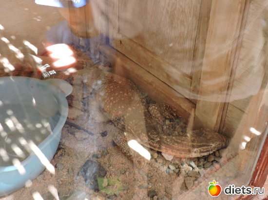 74 ����: ������� � �������, 21.03.2015