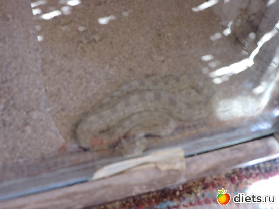 77 ����: ������� � �������, 21.03.2015
