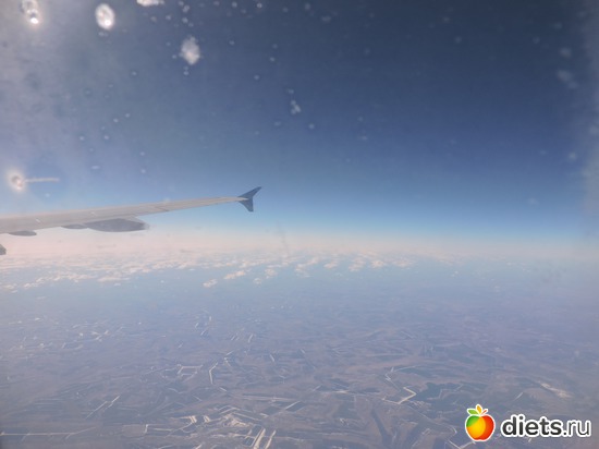 14 ����: ������� 17-24.03.2015