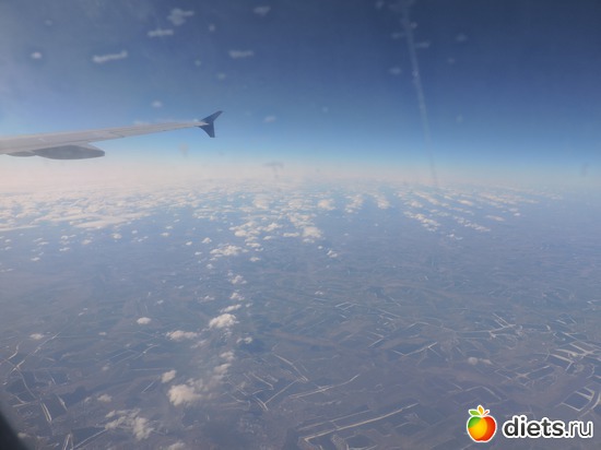 23 ����: ������� 17-24.03.2015