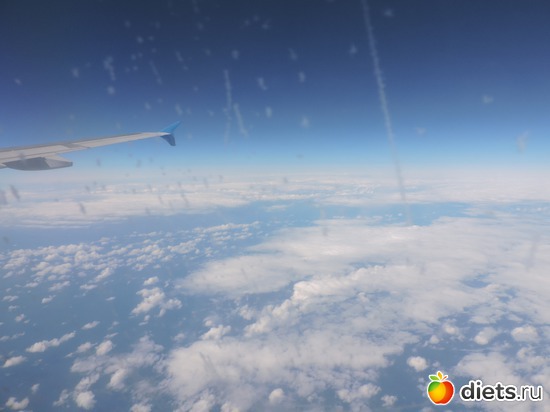 24 ����: ������� 17-24.03.2015