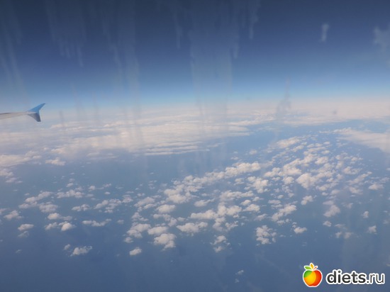 29 ����: ������� 17-24.03.2015