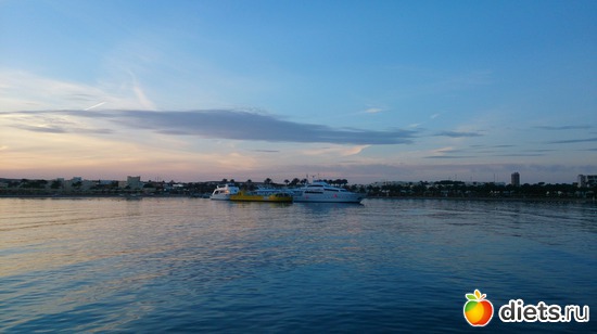 495 ����: ������� 17-24.03.2015