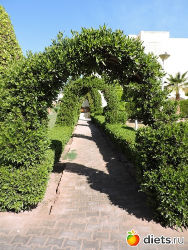 202 ����: ������� 17-24.03.2015