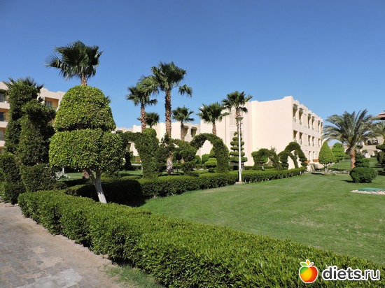 204 ����: ������� 17-24.03.2015