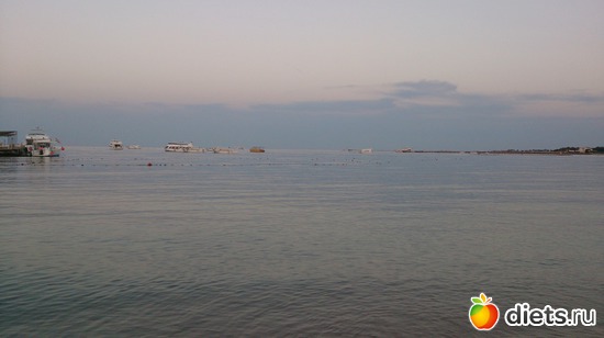 504 ����: ������� 17-24.03.2015
