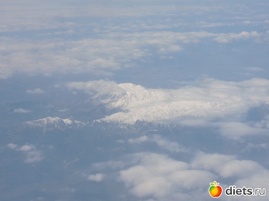 40 ����: ������� 17-24.03.2015