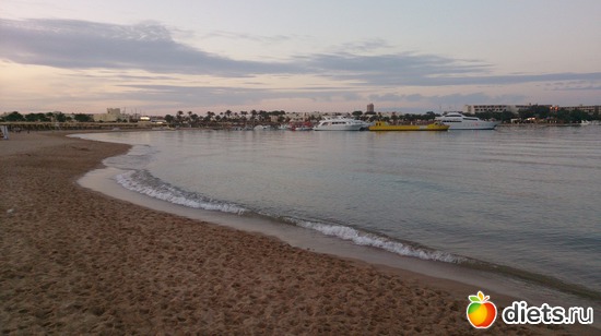 509 ����: ������� 17-24.03.2015
