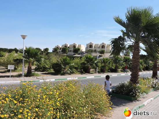 212 ����: ������� 17-24.03.2015