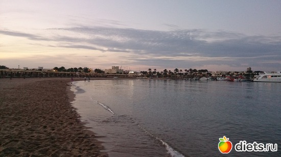 513 ����: ������� 17-24.03.2015
