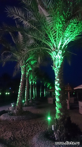 520 ����: ������� 17-24.03.2015