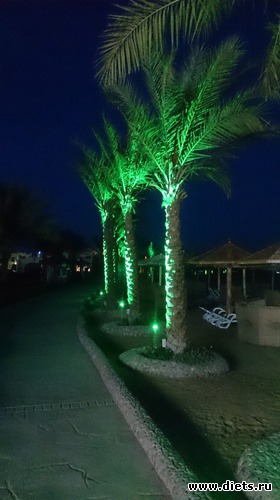 521 ����: ������� 17-24.03.2015