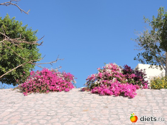 223 ����: ������� 17-24.03.2015