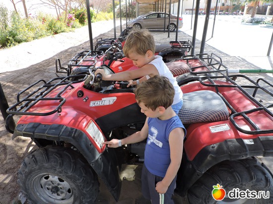 228 ����: ������� 17-24.03.2015