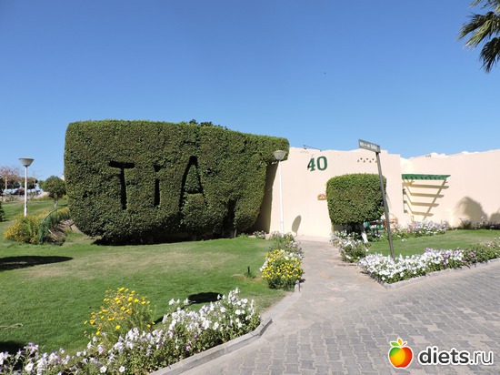 236 ����: ������� 17-24.03.2015