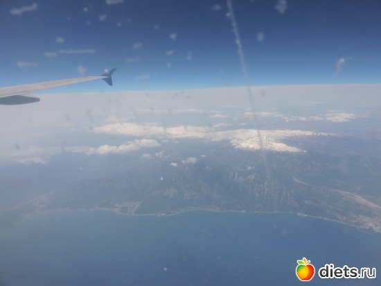 41 ����: ������� 17-24.03.2015