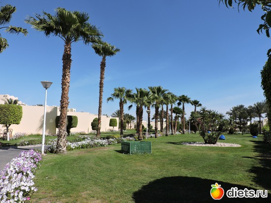 237 ����: ������� 17-24.03.2015