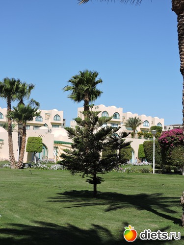 238 ����: ������� 17-24.03.2015