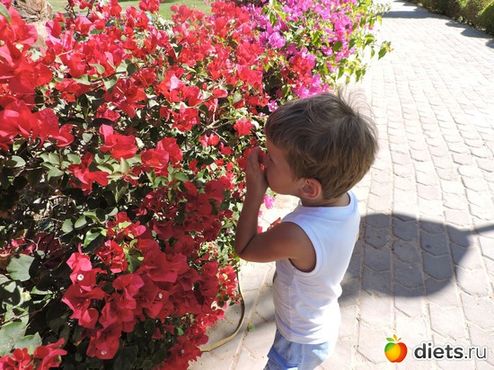 241 ����: ������� 17-24.03.2015