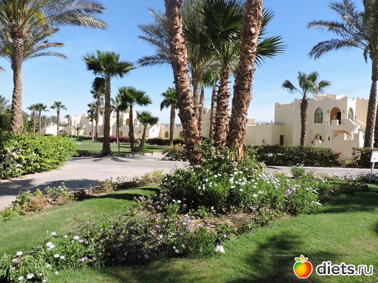 242 ����: ������� 17-24.03.2015