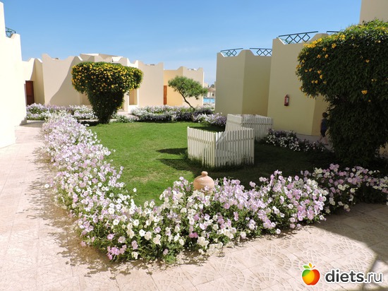 243 ����: ������� 17-24.03.2015