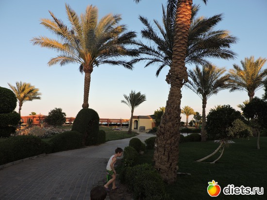 62 ����: ������� 17-24.03.2015