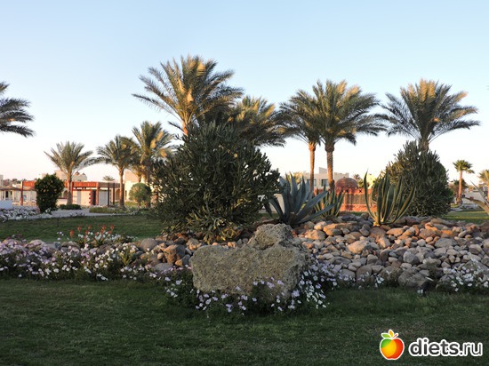 65 ����: ������� 17-24.03.2015