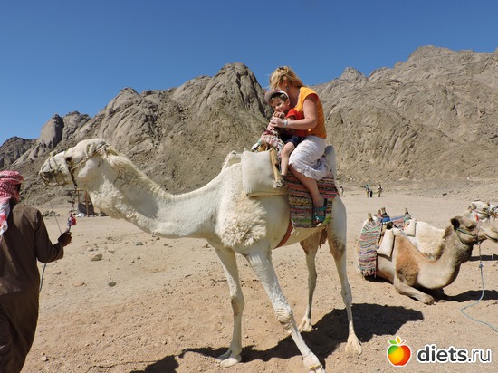24 ����: ������� � �������, 21.03.2015