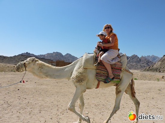 26 ����: ������� � �������, 21.03.2015