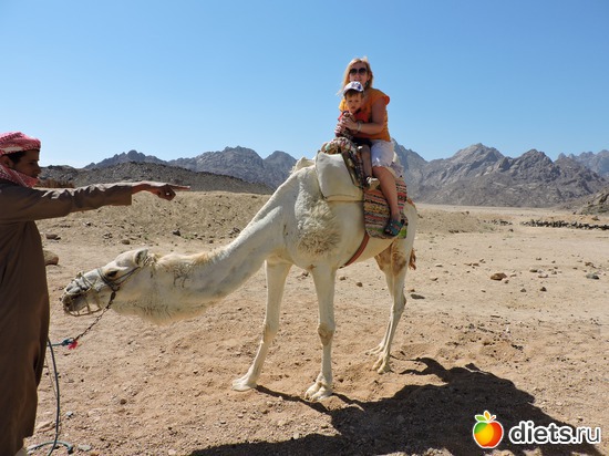 27 ����: ������� � �������, 21.03.2015