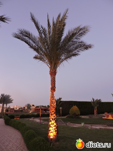 96 ����: ������� 17-24.03.2015