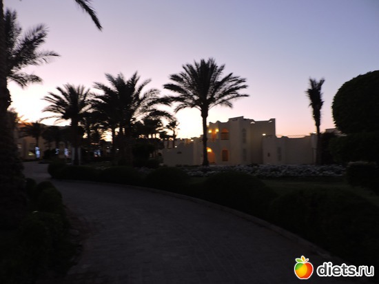 99 ����: ������� 17-24.03.2015