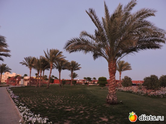 100 ����: ������� 17-24.03.2015