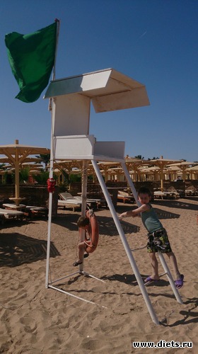 311 ����: ������� 17-24.03.2015