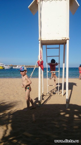 336 ����: ������� 17-24.03.2015
