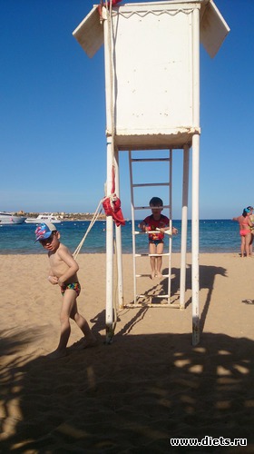 338 ����: ������� 17-24.03.2015