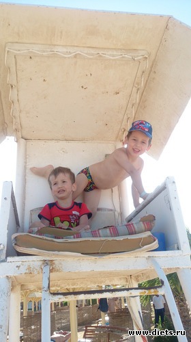 342 ����: ������� 17-24.03.2015
