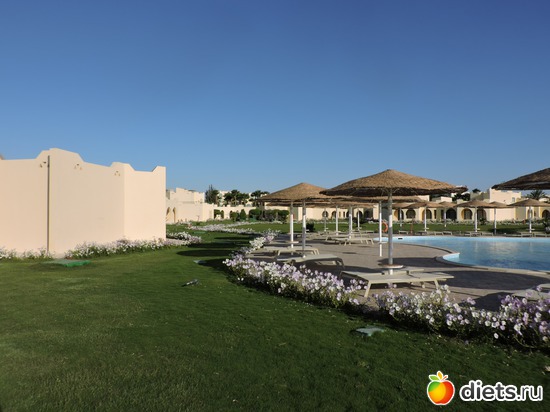 121 ����: ������� 17-24.03.2015