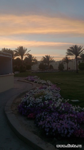 377 ����: ������� 17-24.03.2015