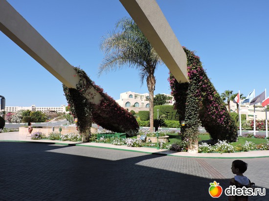 149 ����: ������� 17-24.03.2015