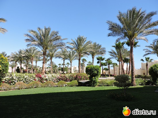 150 ����: ������� 17-24.03.2015