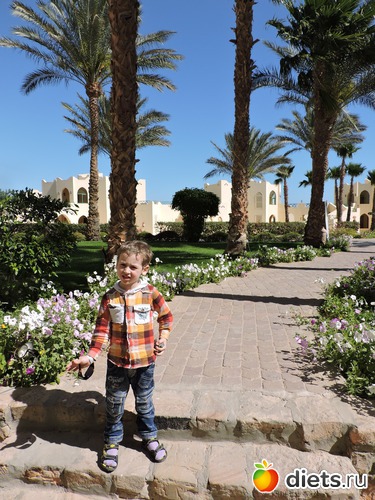 153 ����: ������� 17-24.03.2015