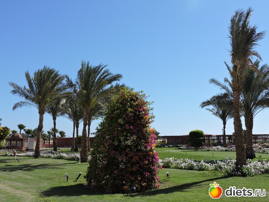 156 ����: ������� 17-24.03.2015